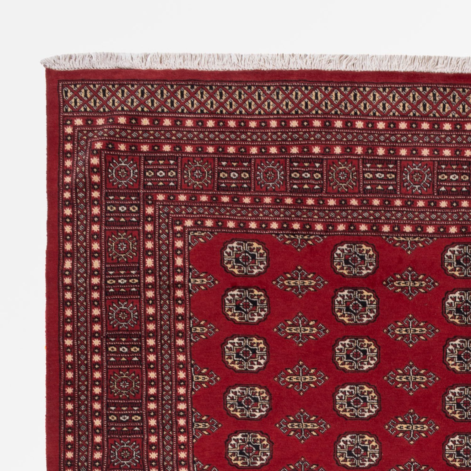 Pakistani Rug - 318 x 248 cm - red