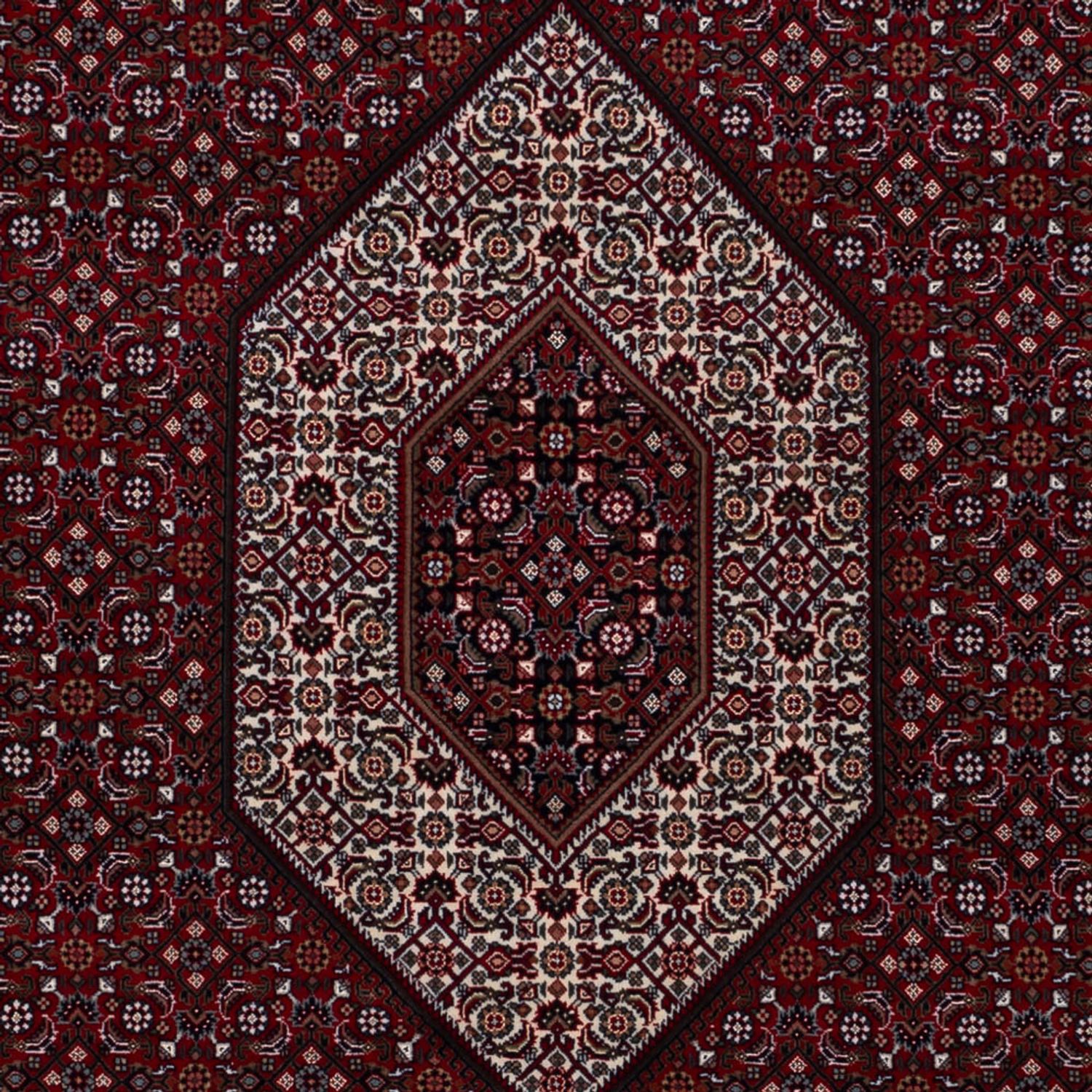 Oriental Rug - Bidjar - Indus - 305 x 198 cm - dark camel