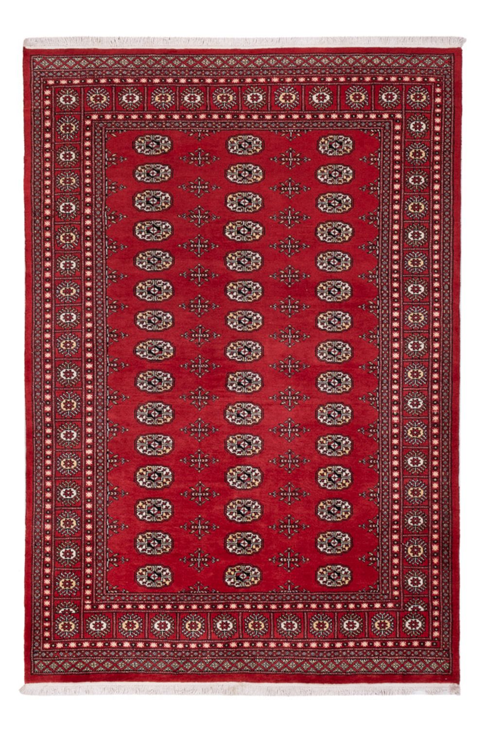 Pákistánský koberec - 243 x 168 cm - červená
