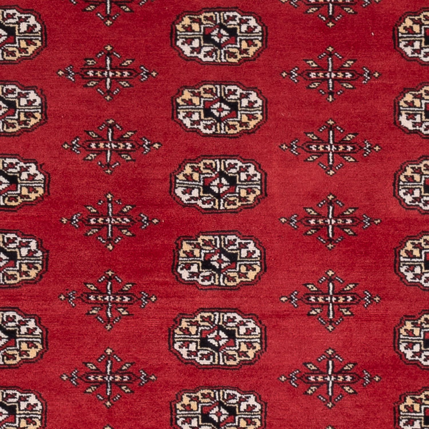 Pákistánský koberec - 243 x 168 cm - červená
