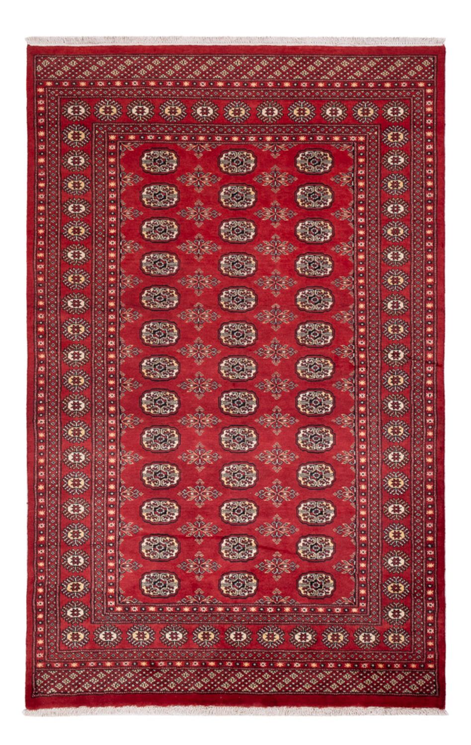 Pákistánský koberec - 250 x 159 cm - červená