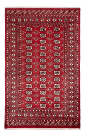 Pákistánský koberec - 250 x 159 cm - červená
