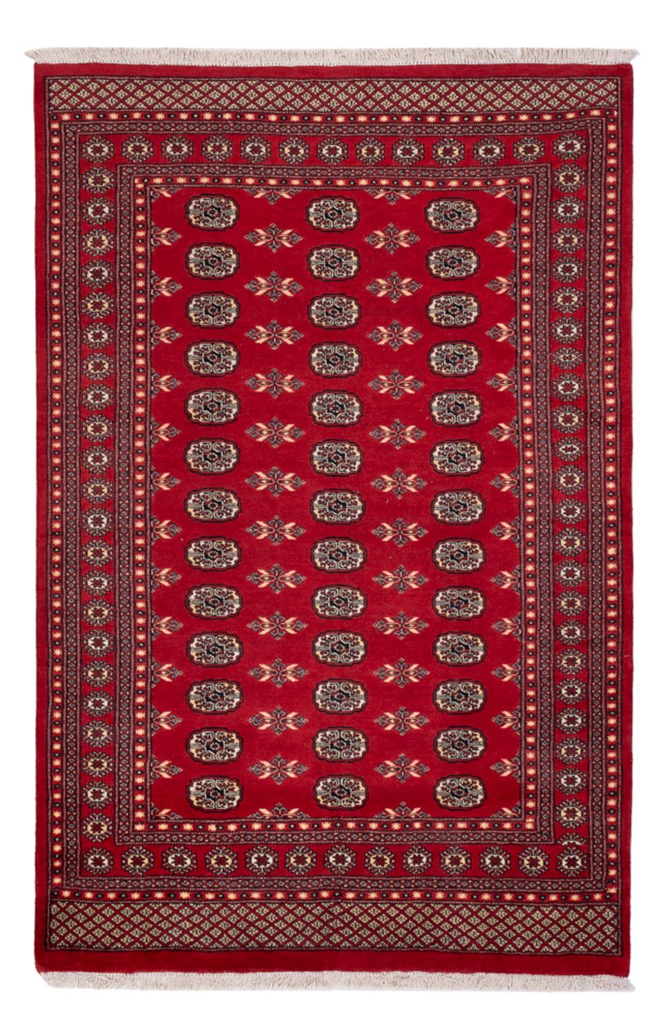Pákistánský koberec - 258 x 179 cm - červená