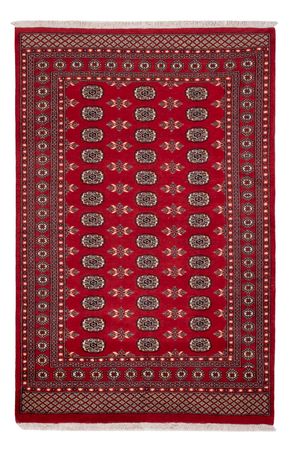 Pákistánský koberec - 258 x 179 cm - červená