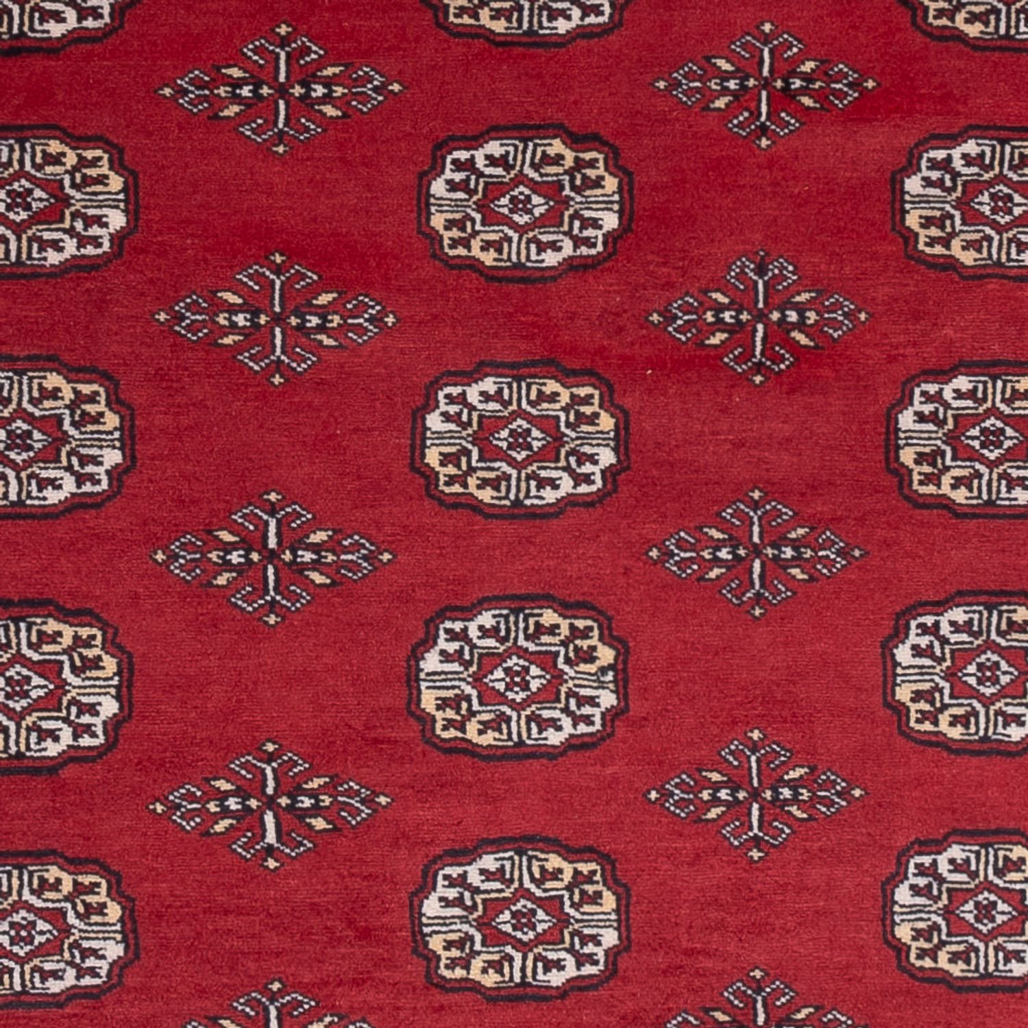 Pákistánský koberec - 249 x 167 cm - červená