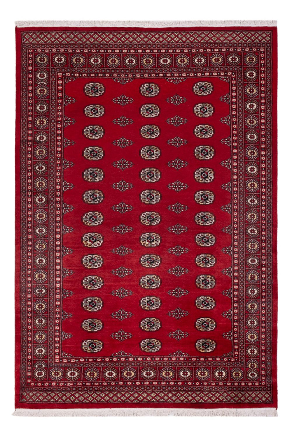 Pakistan teppe - 239 x 164 cm - rød