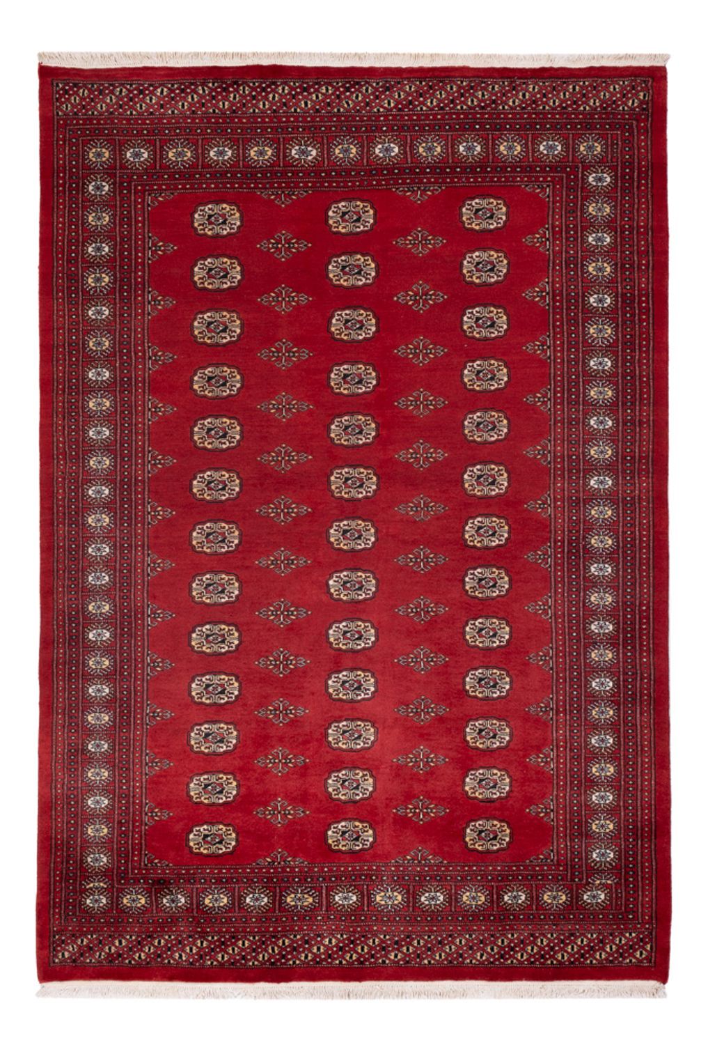 Pakistan teppe - 235 x 165 cm - rød