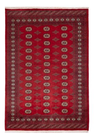 Pakistan teppe - 235 x 165 cm - rød
