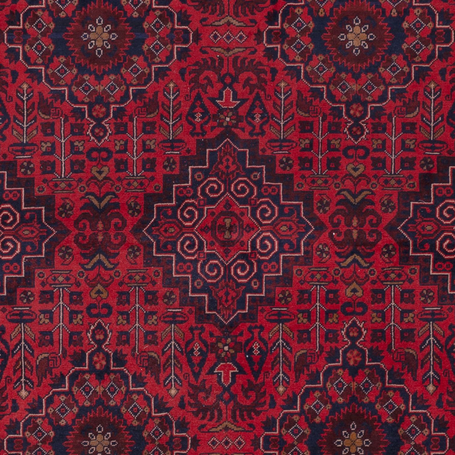 Dywan afgański - Royal - 240 x 169 cm - czerwony