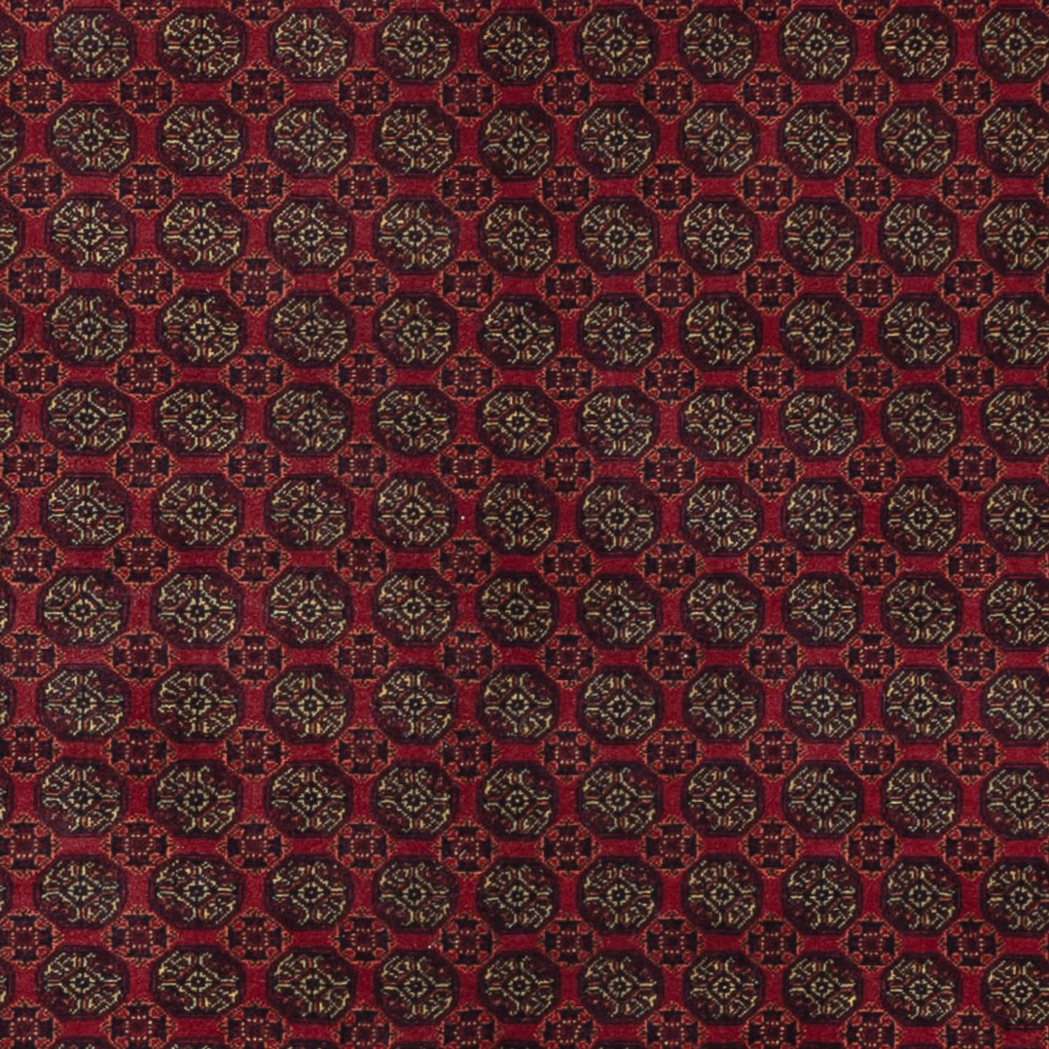 Afghansk matta - Kungliga - 295 x 206 cm - mörkröd