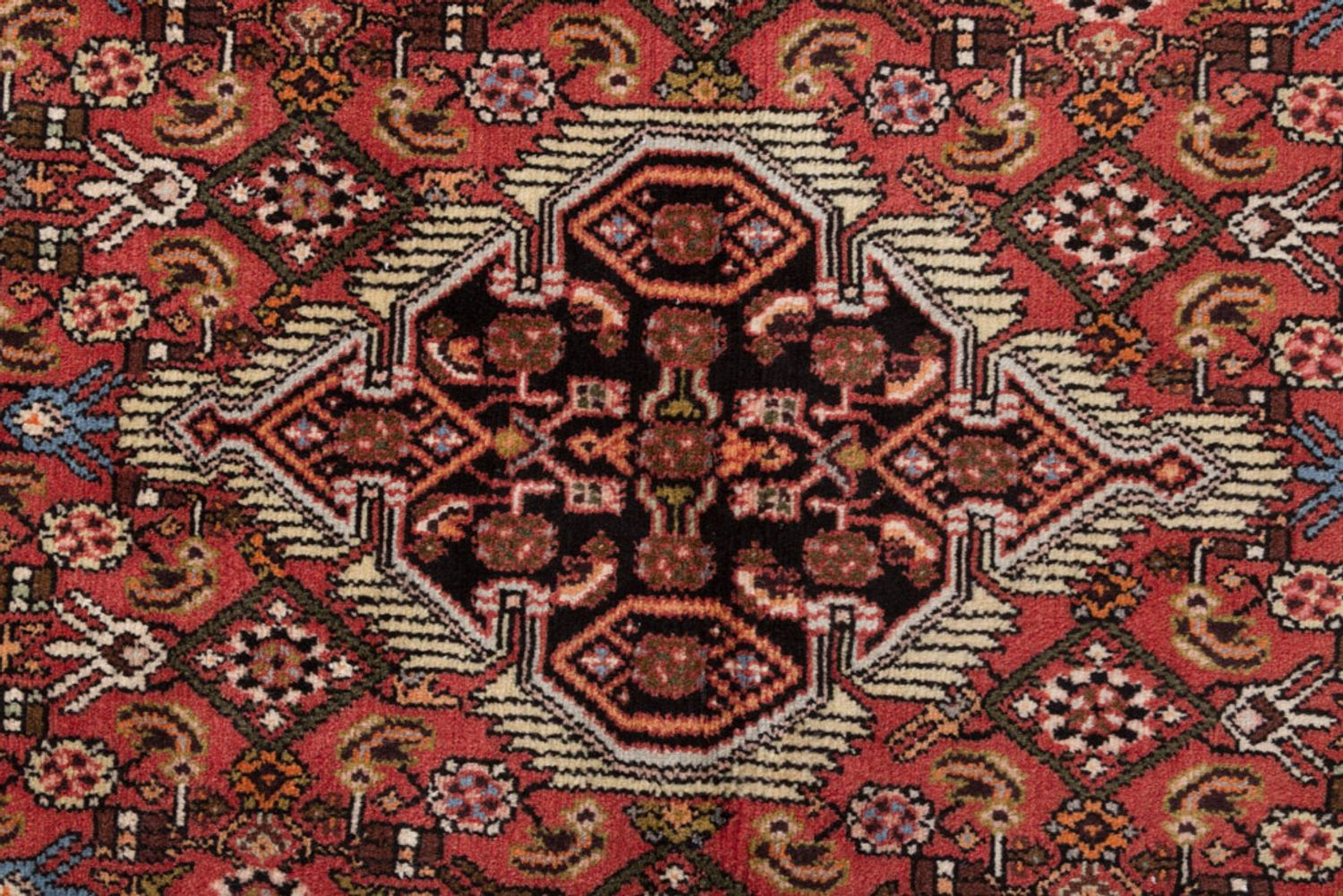 Alfombra de pasillo Alfombra persa - Clásica - 200 x 80 cm - óxido