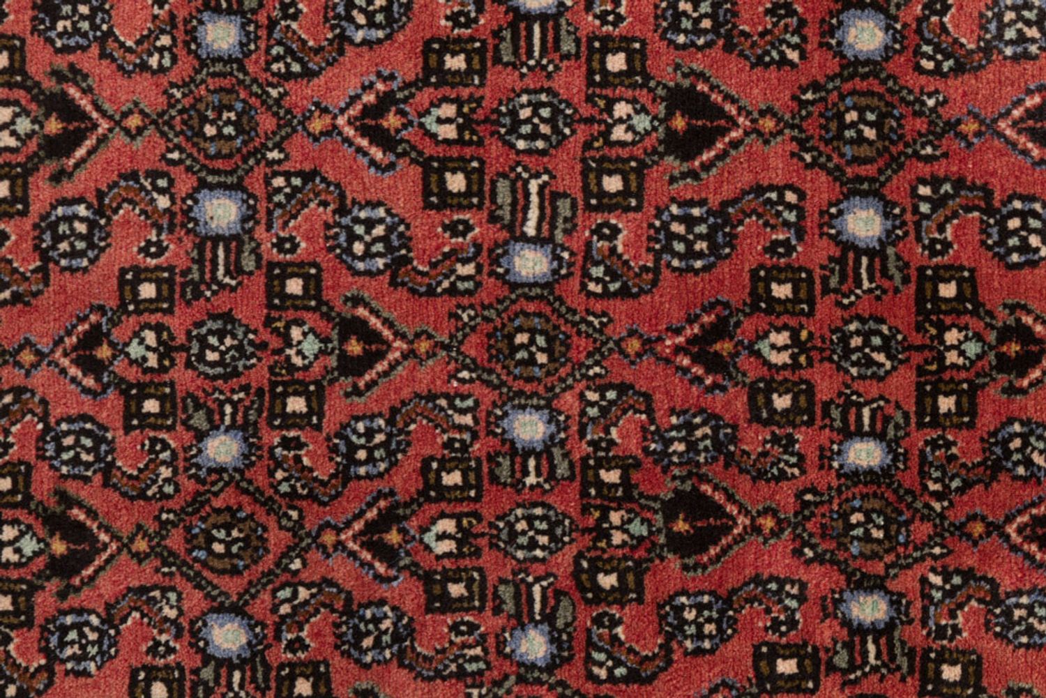 Alfombra de pasillo Alfombra persa - Nómada - 280 x 80 cm - rojo oscuro