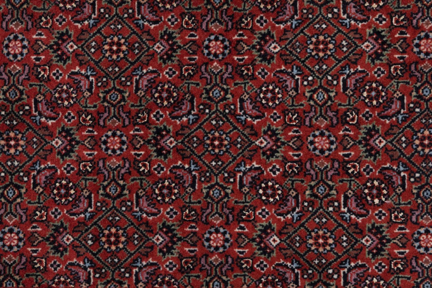 Runner Perský koberec - Bijar - Královský - 198 x 55 cm - tmavě červená