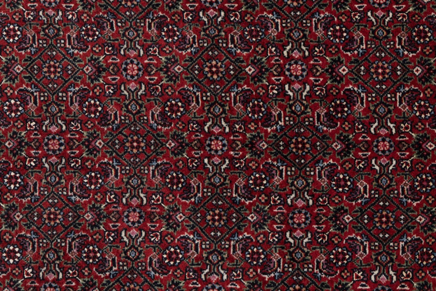 Alfombra persa - Bidjar - 100 x 70 cm - rojo oscuro