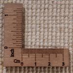 Ziegler Teppe - 355 x 255 cm - blå