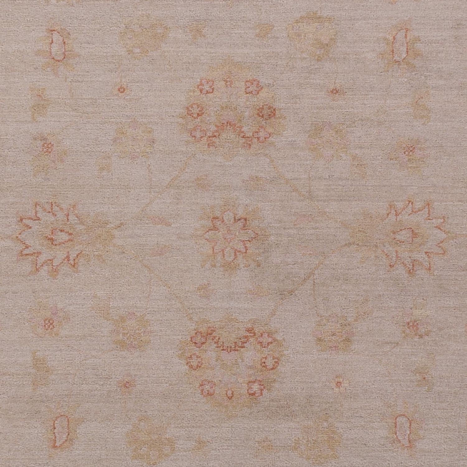 Ziegler Teppe - 345 x 252 cm - beige