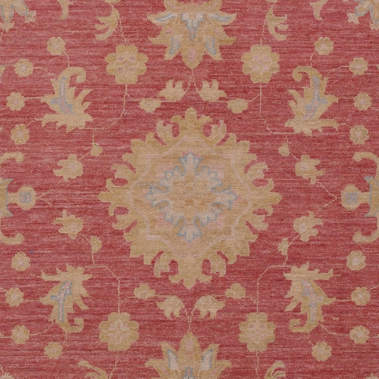 Ziegler Teppe - 367 x 256 cm - rød