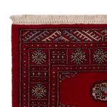 Läufer Pakistan - 182 x 80 cm - rot