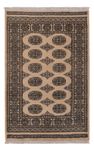 Pakistan Teppich - 144 x 93 cm - beige