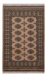 Pakistan Teppich - 151 x 97 cm - beige