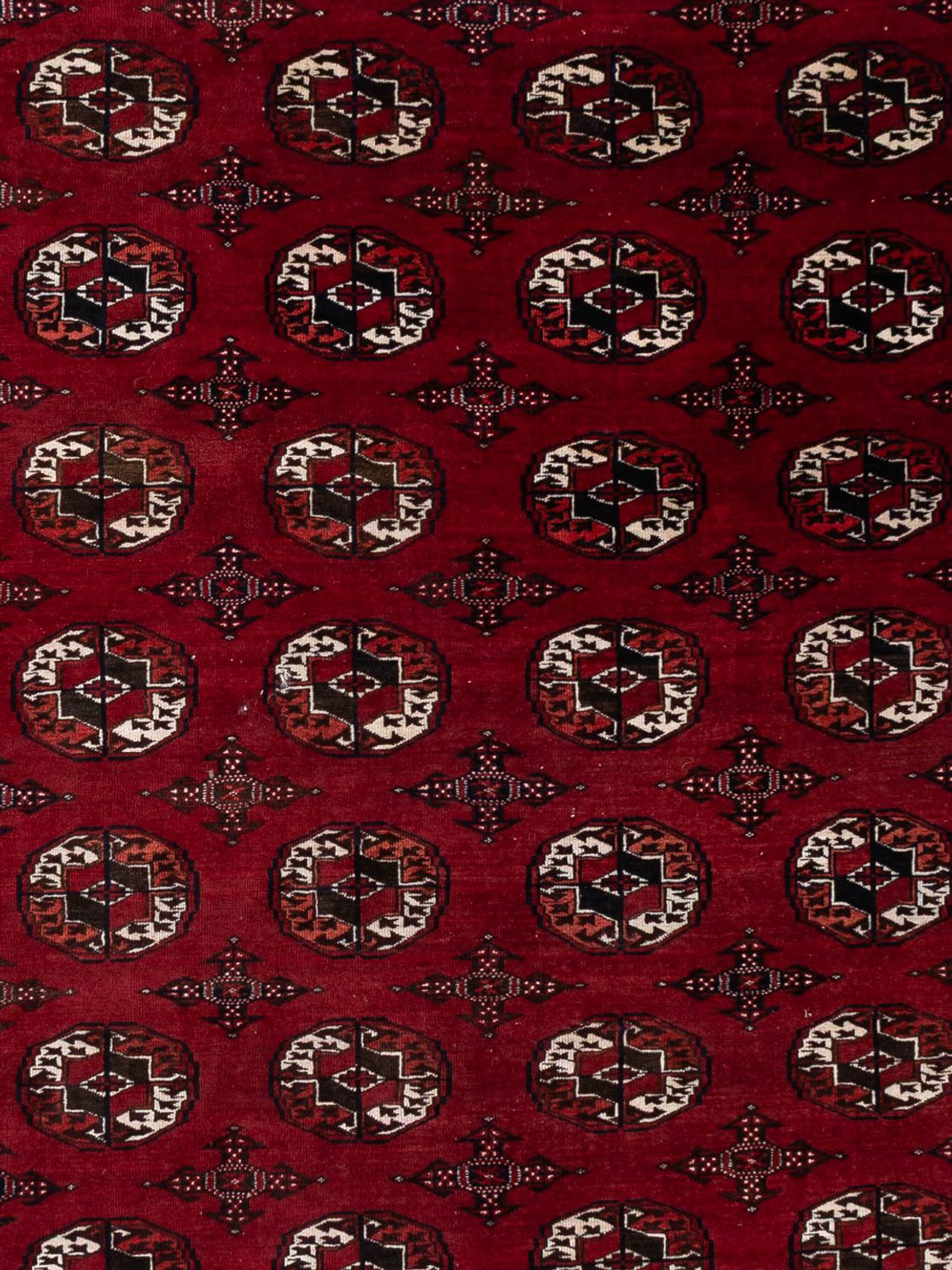 Afghansk teppe - Bukhara - 350 x 250 cm - karamell