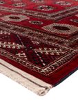 Afghansk teppe - Bukhara - 350 x 250 cm - karamell