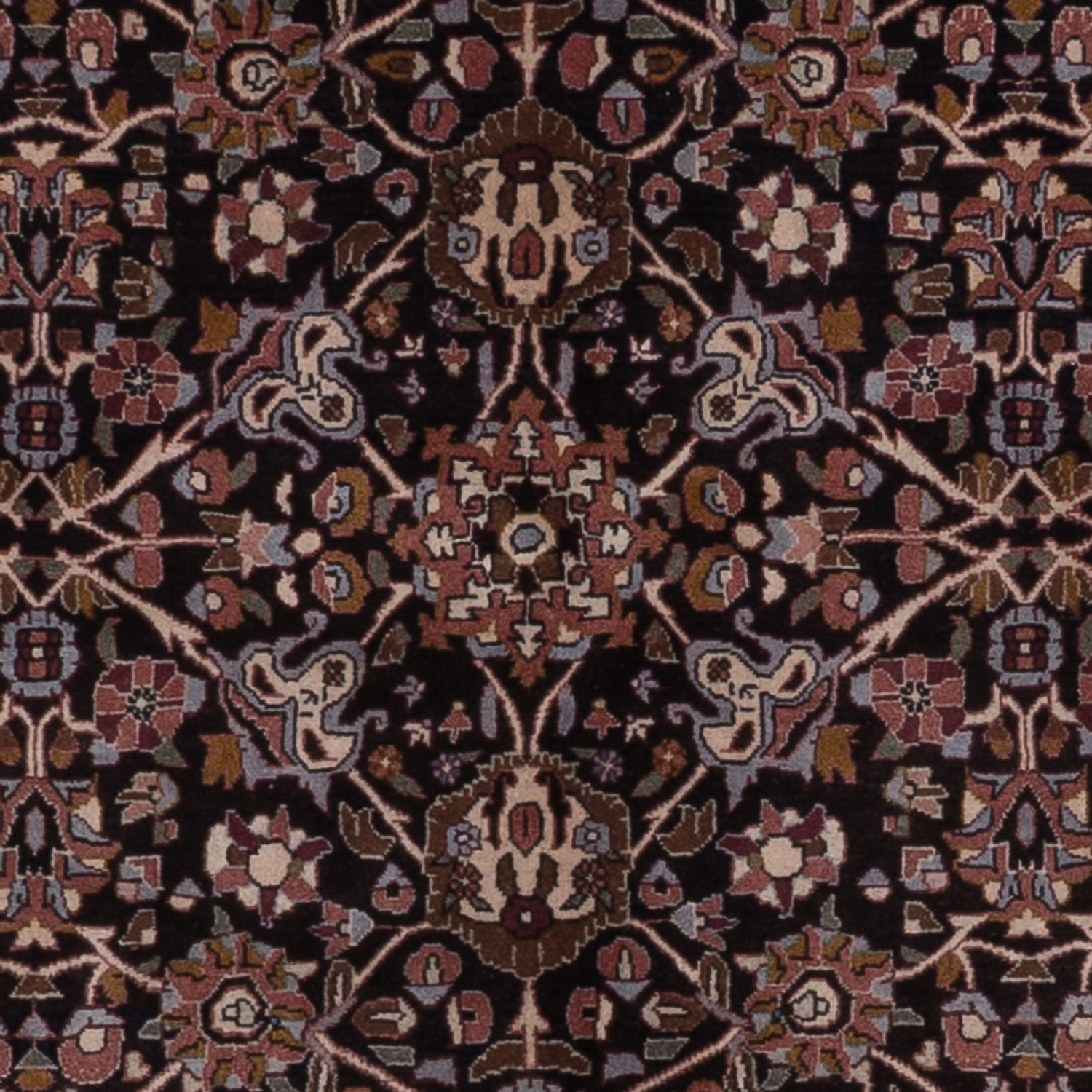 Perský koberec - Bijar - 246 x 143 cm - tmavě hnědá