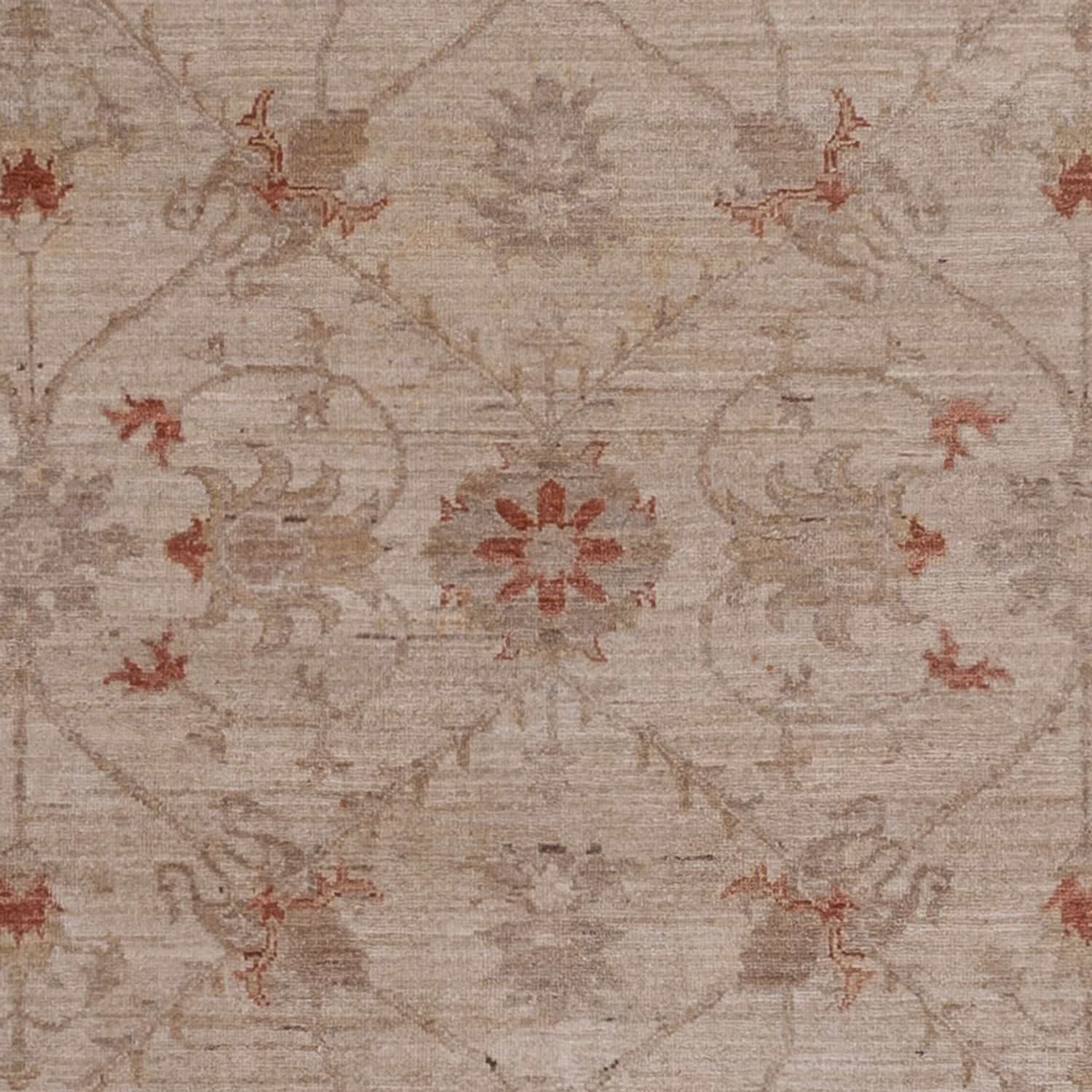 Alfombra Ziegler - 302 x 244 cm - beige