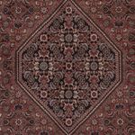 Perský koberec - Bijar - 294 x 202 cm - tmavě béžová