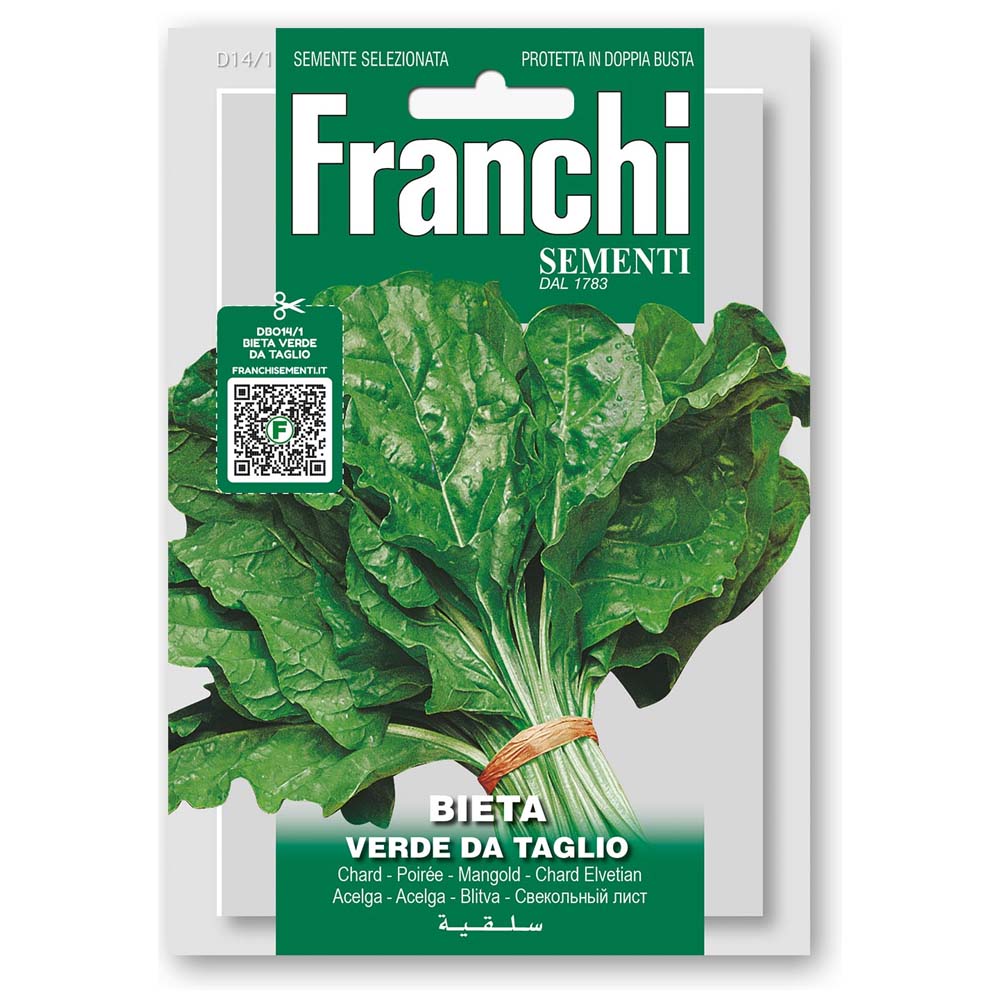 Franchi Mangold Bieta Verde Da Taglio | Samen Rohde - ...alles Gute fr den  Garten