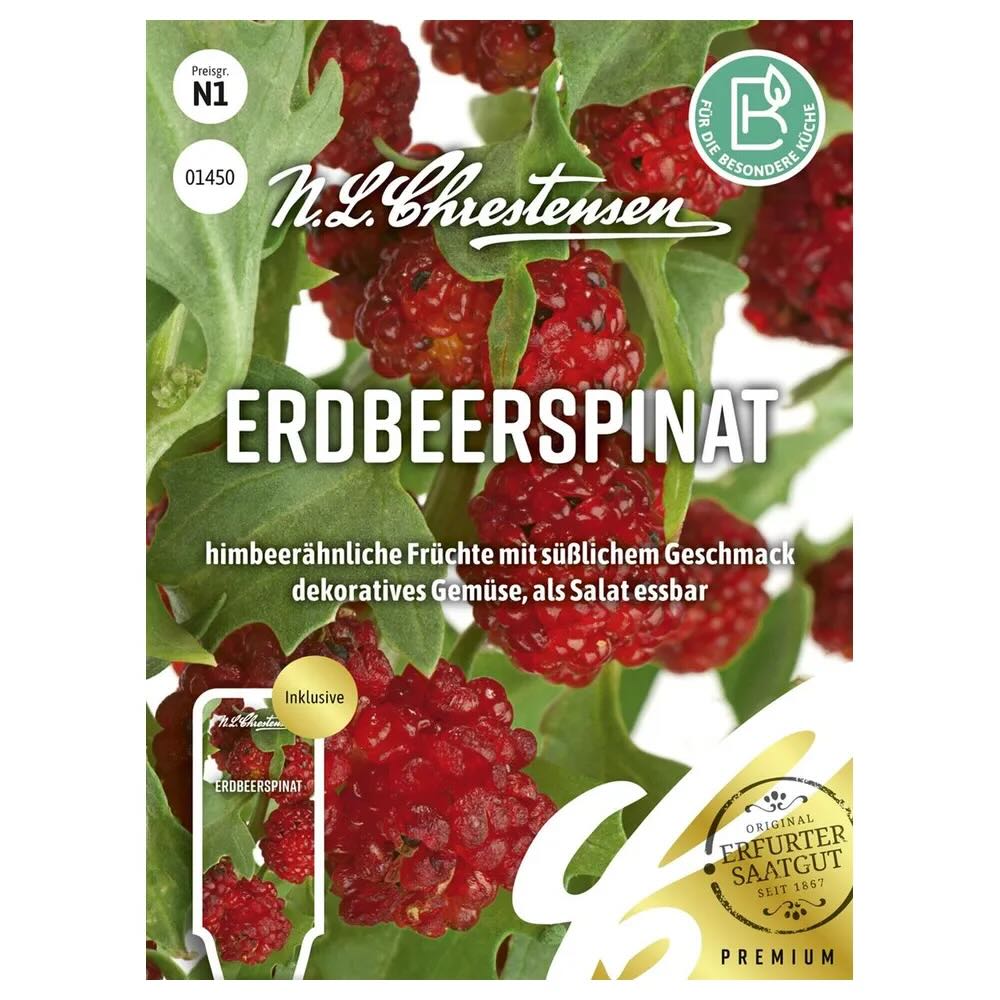 Chrestensen Erdbeerspinat | Samen Rohde - ...alles Gute fr den Garten