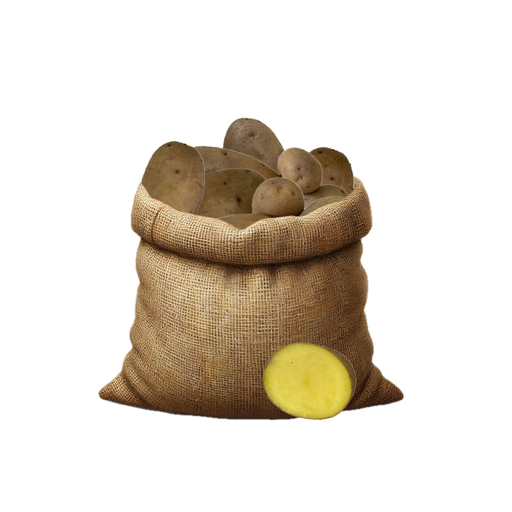 Pflanzkartoffeln - Sorte: Linda