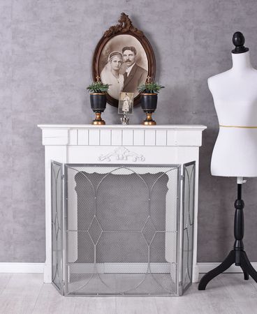 Kamingitter Funkenschutzgitter Silber Kaminschutzgitter