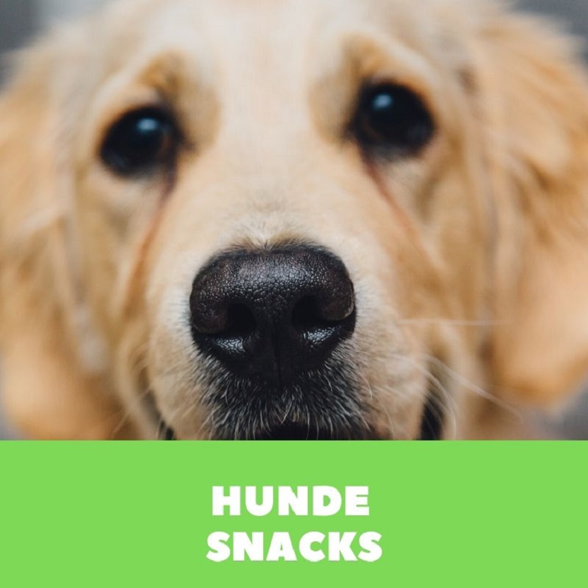 Hundesnacks