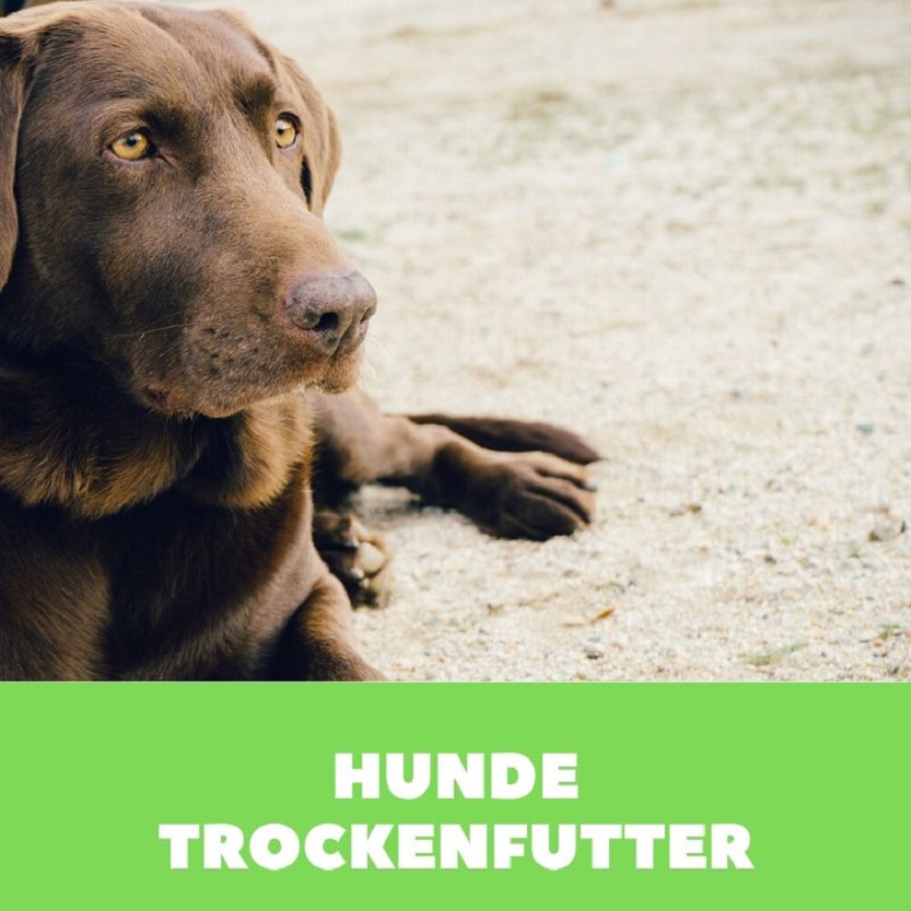 Hundetrockenfutter