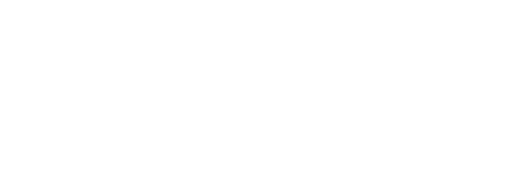 Logo von VIVISOL Home Care Services in der Farbe weiß.