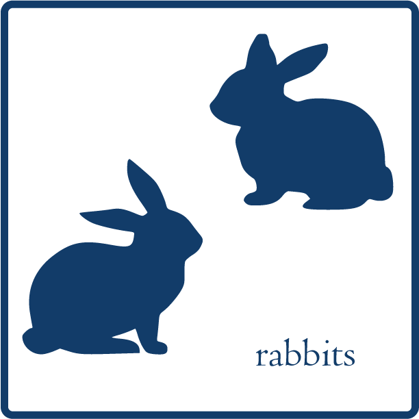 Rabbits