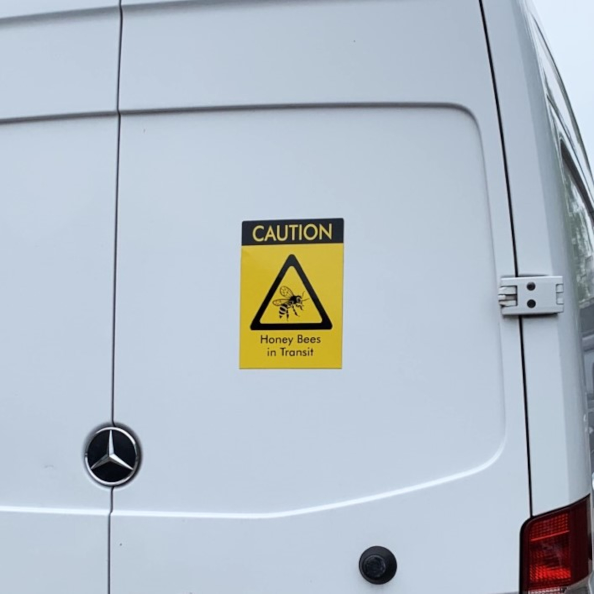 Adesivi Magnetici LGBT Per Auto - Set Di 3, Riflettenti, Per Sostenere La Comunità LGBTQ - Foto 5