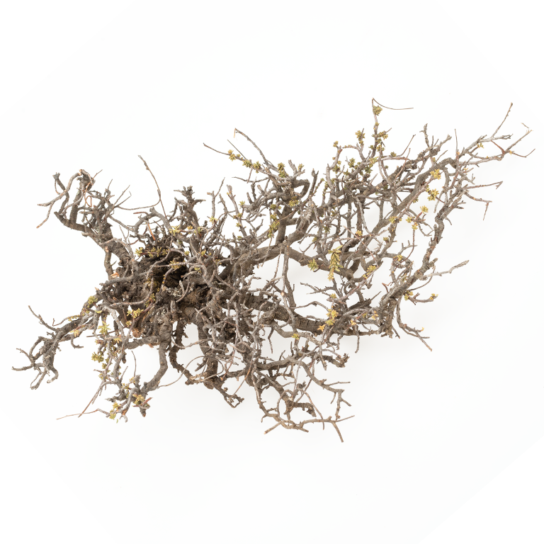 Holz äste Dekorieren - The Ikea Table Tops