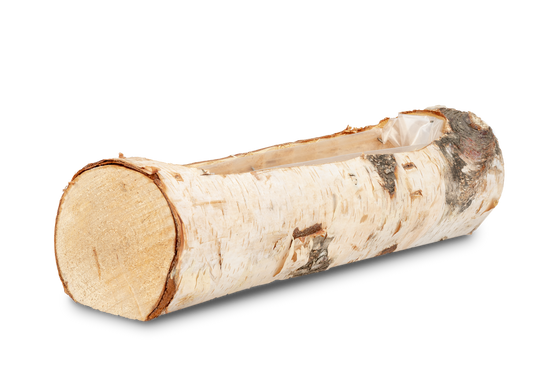 19cm Birkenstamm zum bepflanzen Pflanzscha NaDeco Birkenstamm Pflanzenschale ca