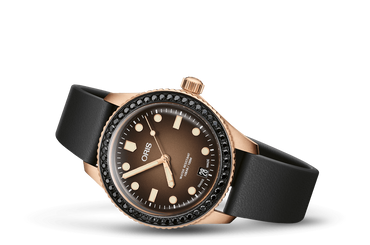 HERZOG LOIBNER EDITION