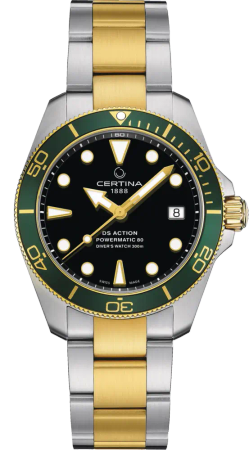 DS ACTION DIVER
