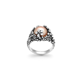ring blossom ring blossom