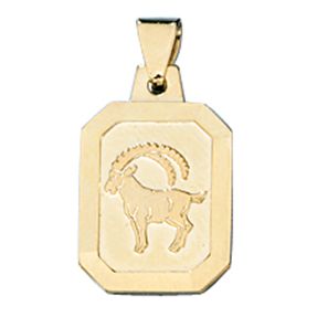 Sternzeichen Steinbock Goldanhänger Anhänger 333 Gold Halsschmuck Unisex