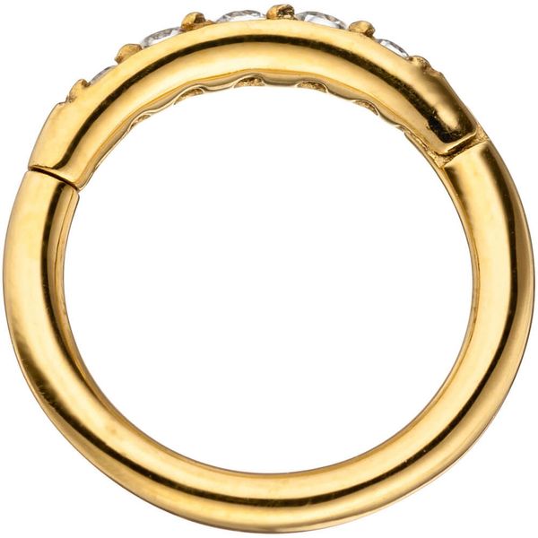 Segmentring Edelstahl in Goldfarbe