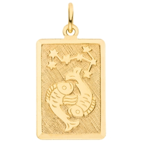 Anhänger Sternzeichen Fische 333 Gold Gelbgold mattiert rechteckig 20,8x12,1mm