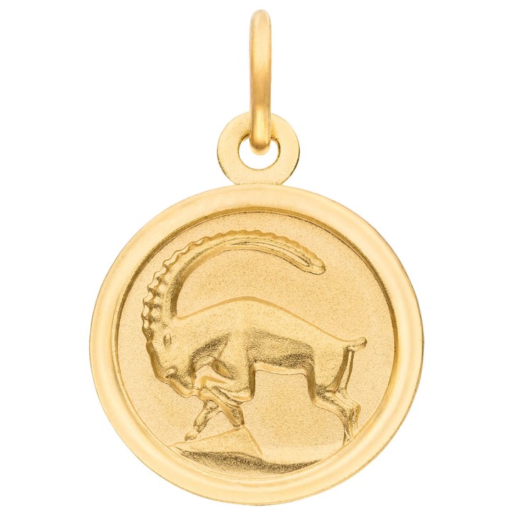 Anhänger Steinbock aus 333 Gold Gelbgold mattiert rund