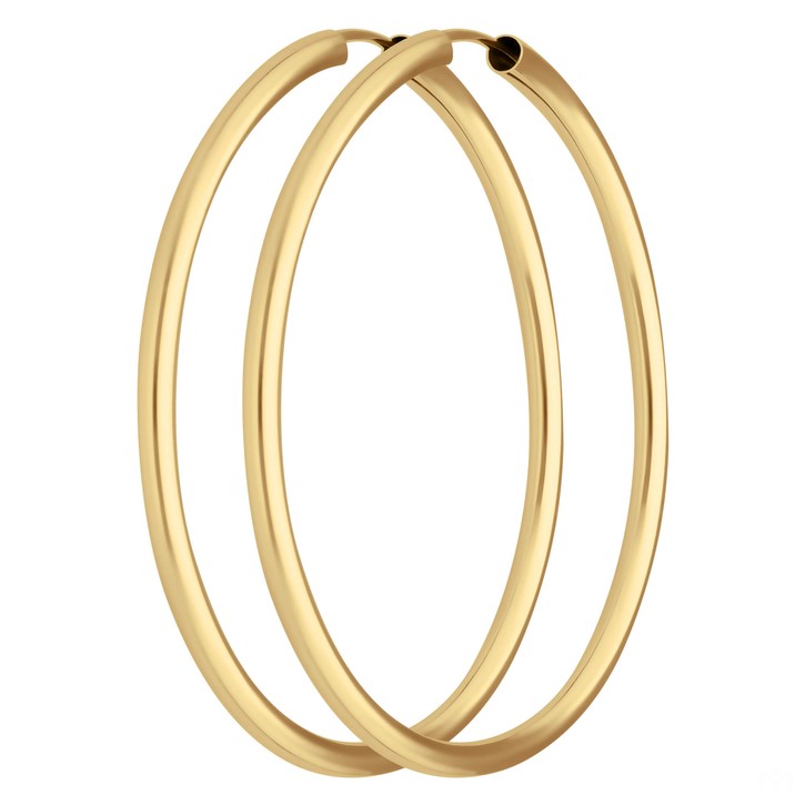 Paar Ohrringe Creolen rund schlicht aus 333 Gelbgold 48x2.5mm