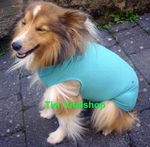   Dog & Cat Body, Bauchverband