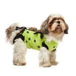Bauchverband für Hunde und Katzen